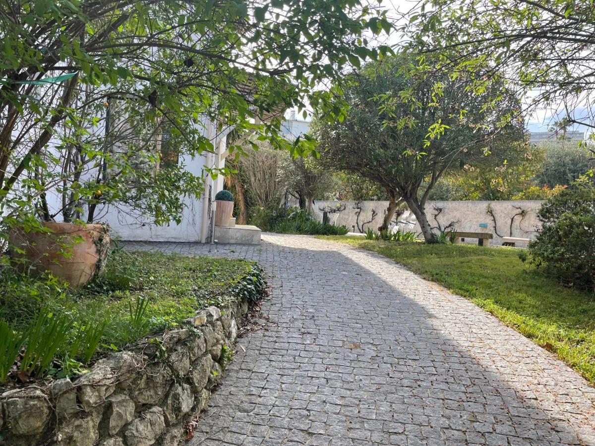 Sublime Haut De Villa Apercu Mer /Hippodrome / Cagnes-sur-Mer Eksteriør bilde